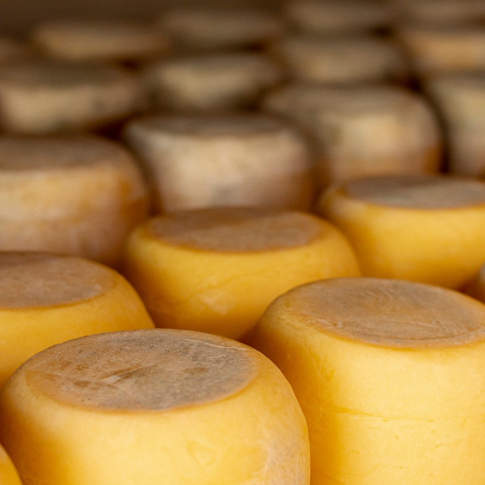variety-rustic-cheese-wheels